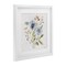 Stupell Industries Wild Floral Botanical Bundle Framed Print Under Glass, design by Nicole DeCamp